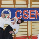 Aikido stage nazionale