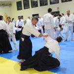 Aikido stage nazionale