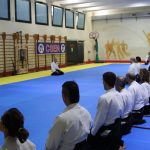 Aikido stage nazionale