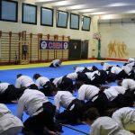 Aikido stage nazionale